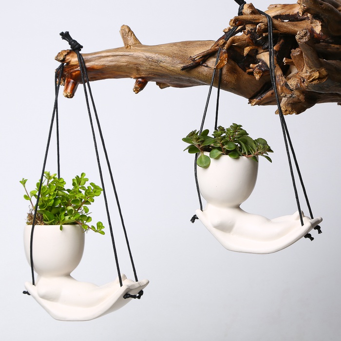 Микс растения в кашпо