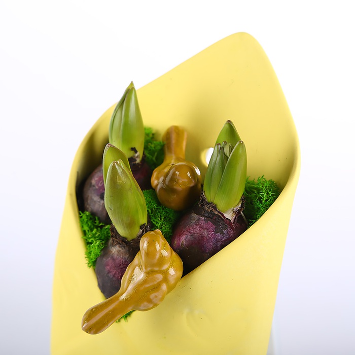 Гіацинт в конверті