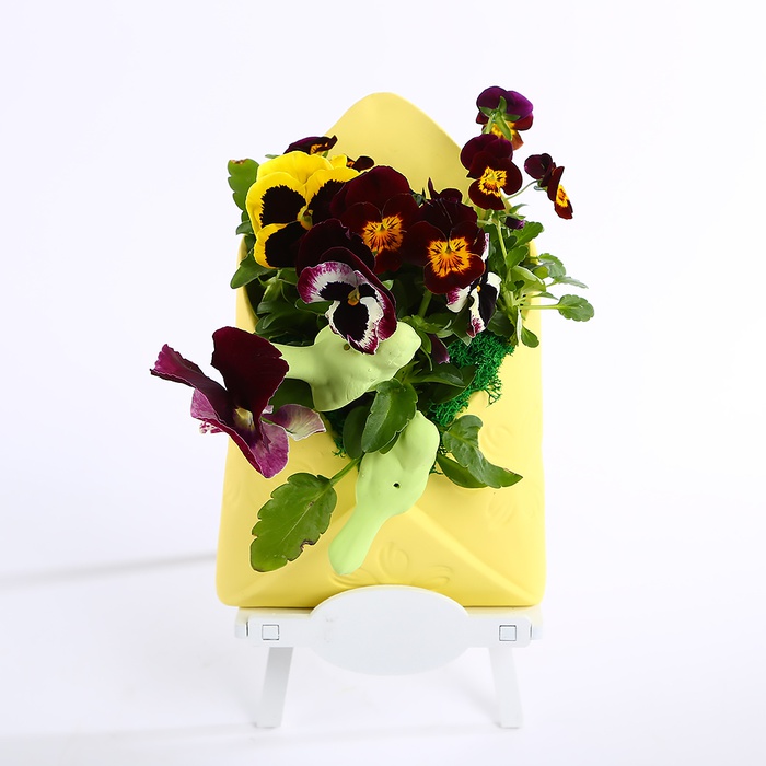 Виола в керамическом конверте