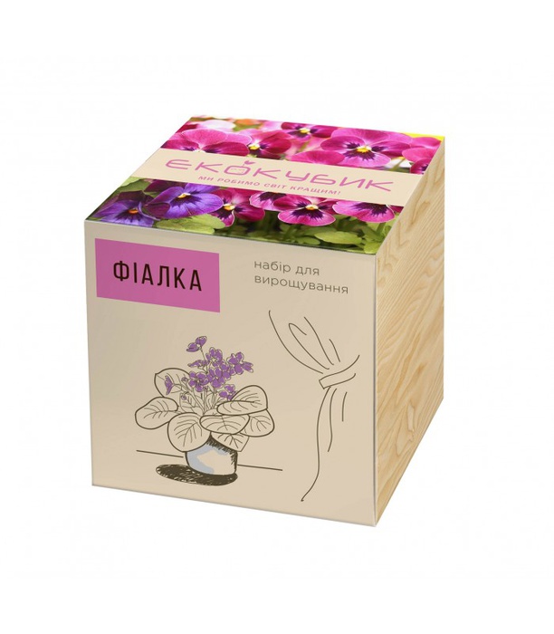 Екокуб Фіалка