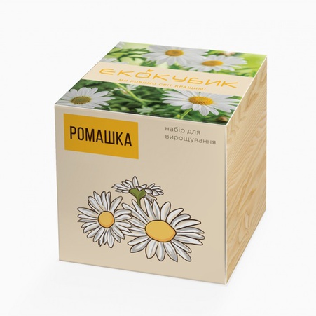 Екокуб Ромашка