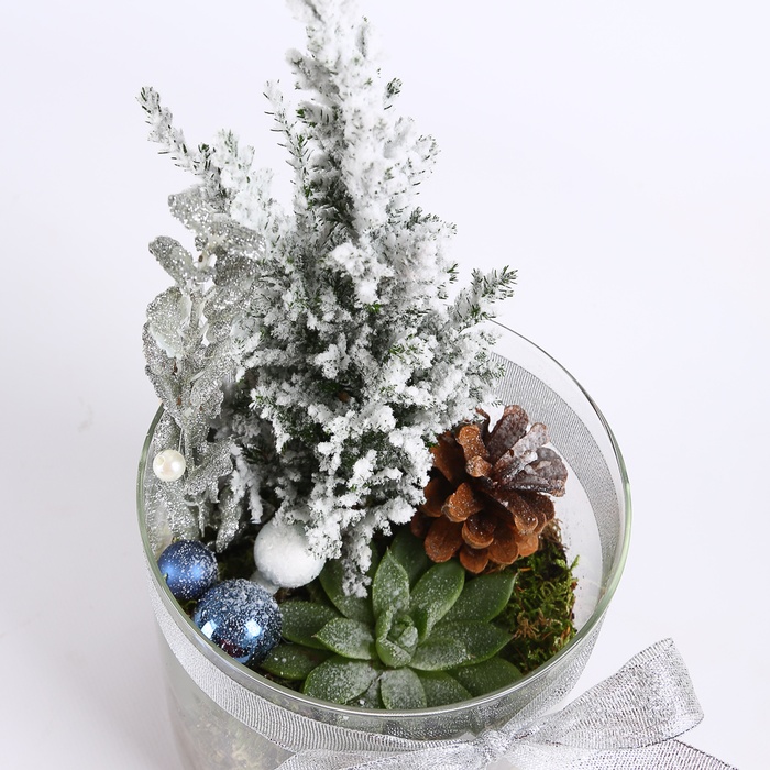 Композиция в вазе "Морозное сияние"