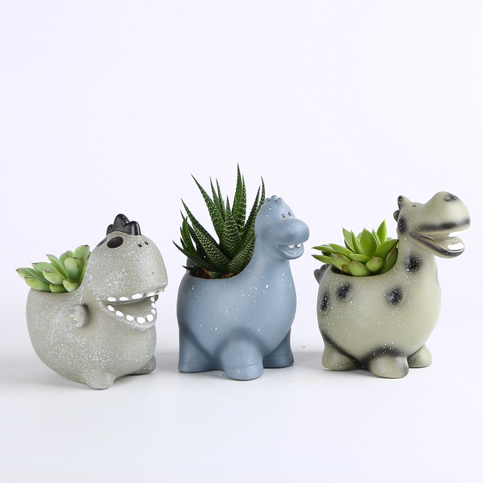 Суккулент микс в кашпо, S