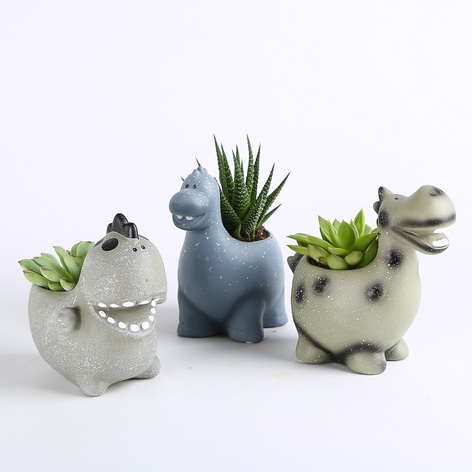 Суккулент микс в кашпо, S