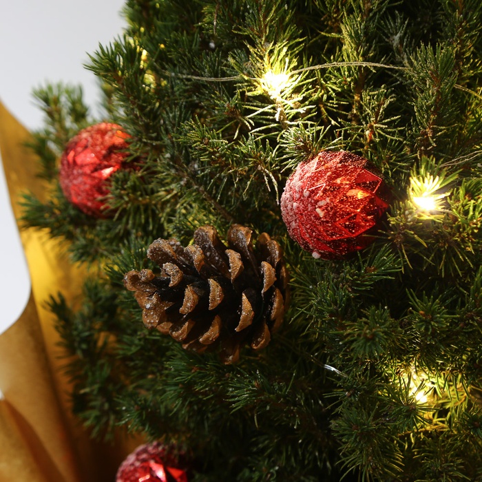 Ялинка коніка в горщику з гірляндою