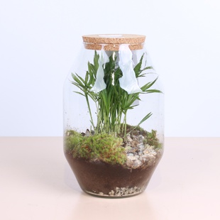 Флорариум, М