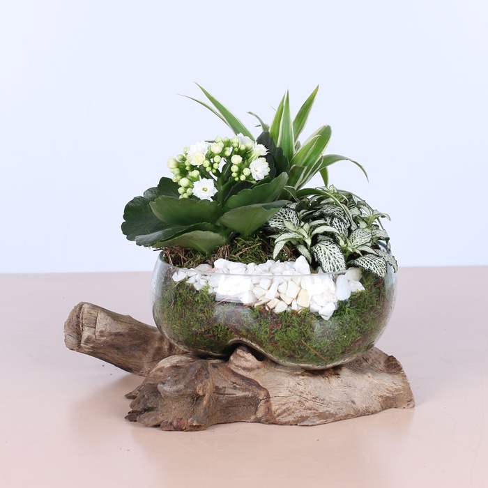 Высадка в вазе из стекла и дерева, М