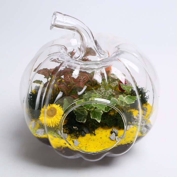 Флорариум в банке