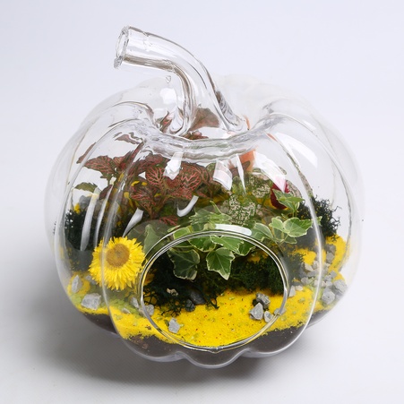Флораріум у банці
