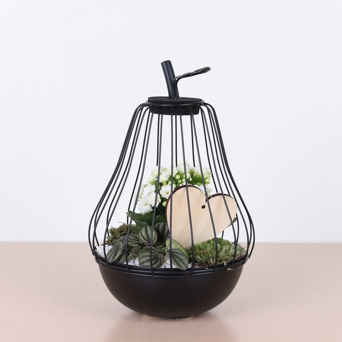 Композиция с растениями "Груша"