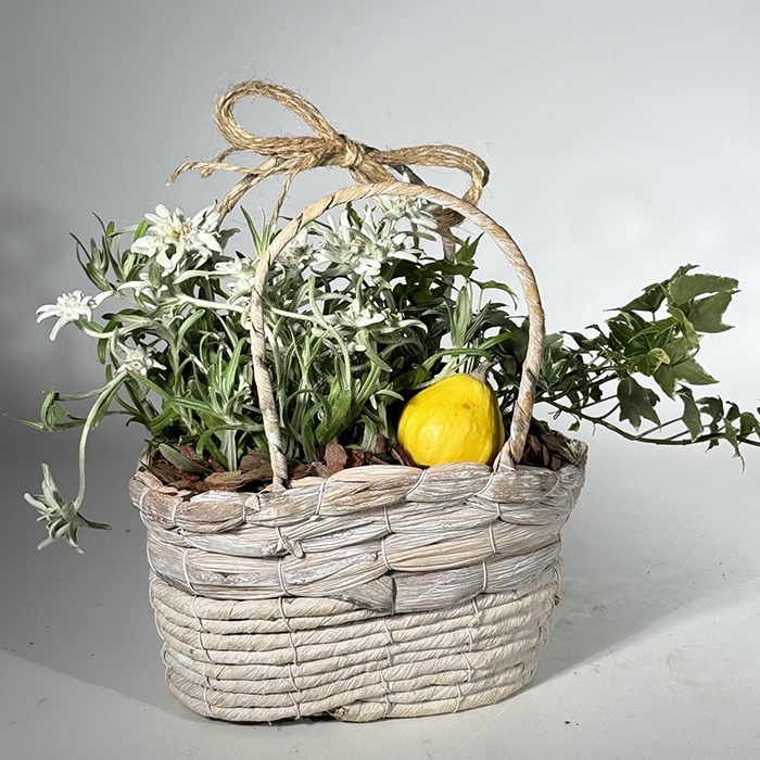 Композиция с растениями "Горная сказка"