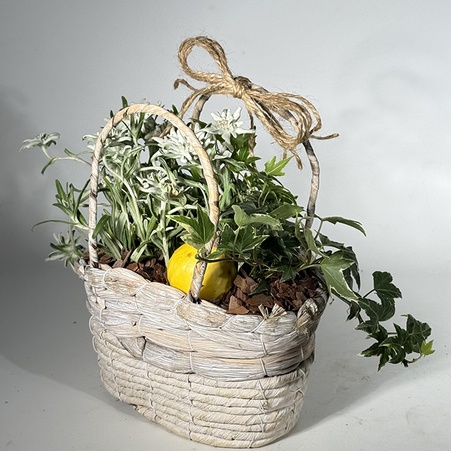 Композиция с растениями "Горная сказка"