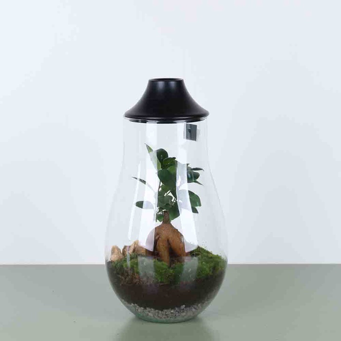 Композиція тераріум LED