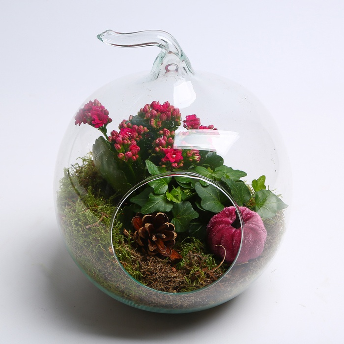 Композиція тераріум