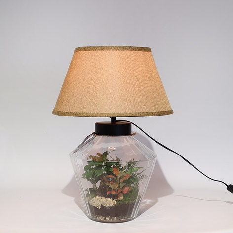 Композиция террариум "Зеленый оазис"