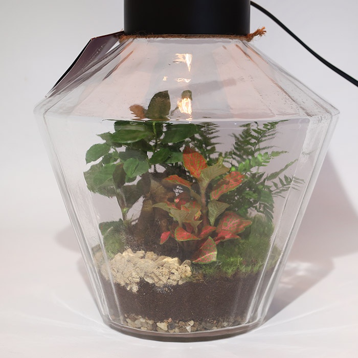 Композиция террариум "Зеленый оазис"