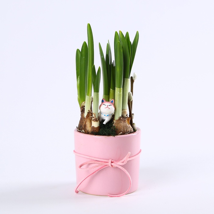 Композиція "Сонячне вітання"