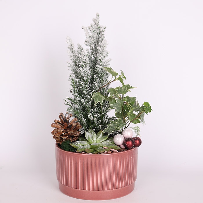 Композиция в кашпо "Зимнее очарование"