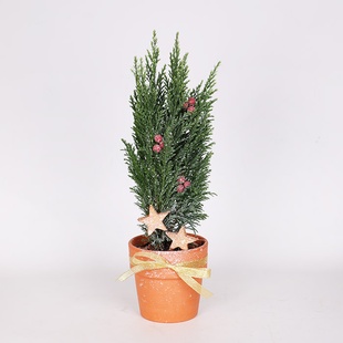 Композиция в кашпо "Зимняя магия"