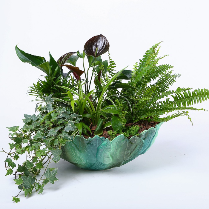 Висадка рослин в кашпо "Квіткова медитація"