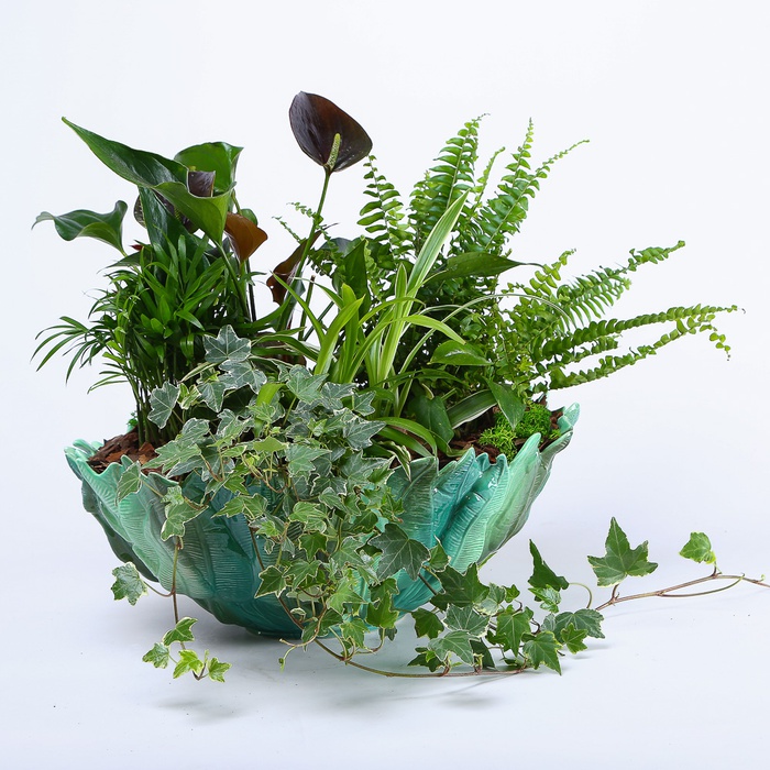 Висадка рослин в кашпо "Квіткова медитація"