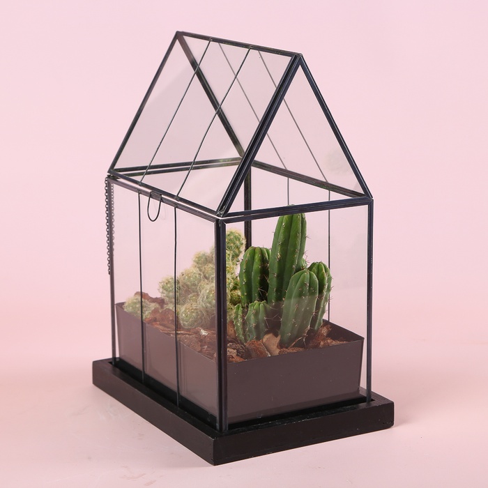 Тераріум "Пустельний дім"