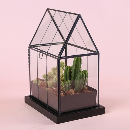 Террариум "Пустынный дом"