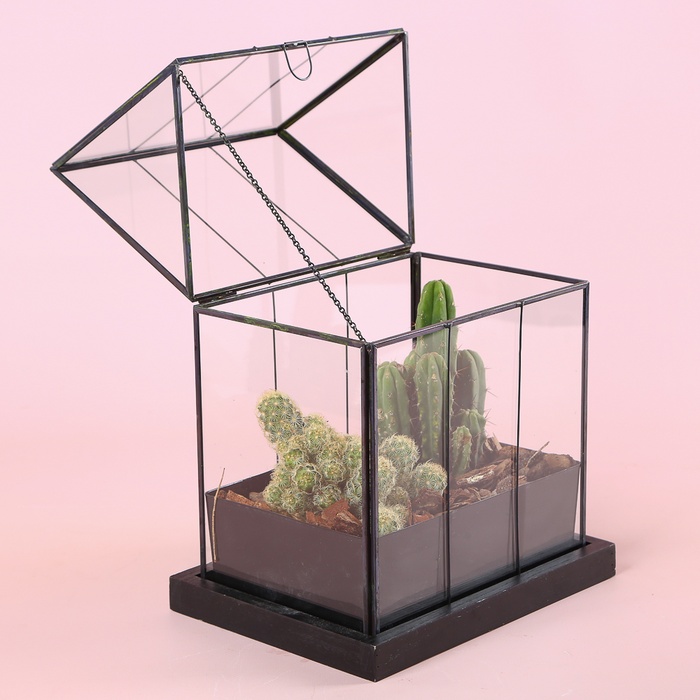 Тераріум "Пустельний дім"