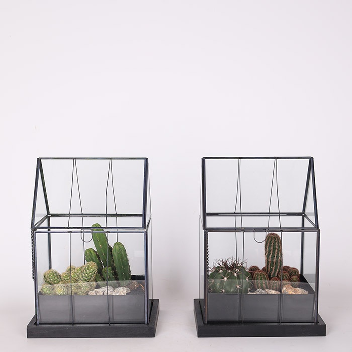 Тераріум "Пустельний дім"