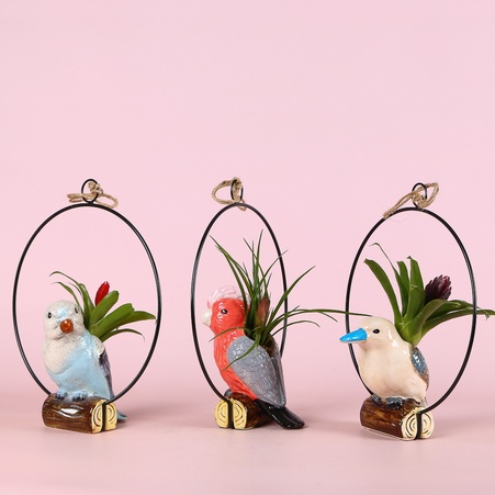 Бромелия микс в декоративном кашпо с птичкой