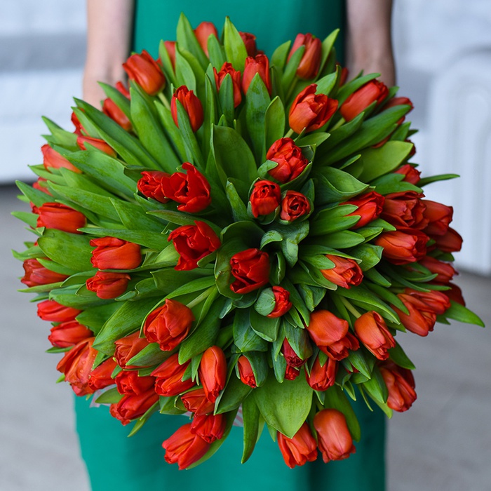 Букет 101 червоний тюльпан