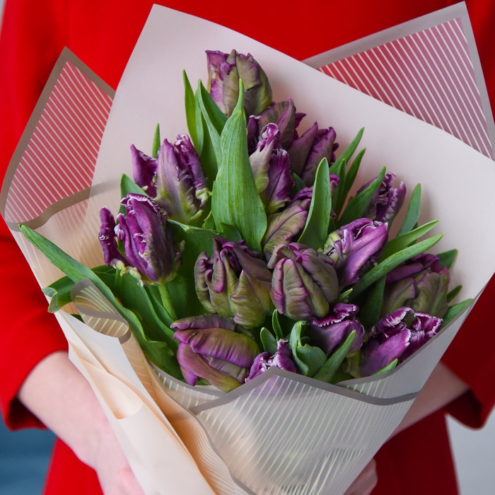Букет из 15 фиолетовых тюльпанов Parrot