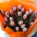 Букет з 21 тюльпана Брауні