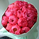 Букет 15 коралловых пионов