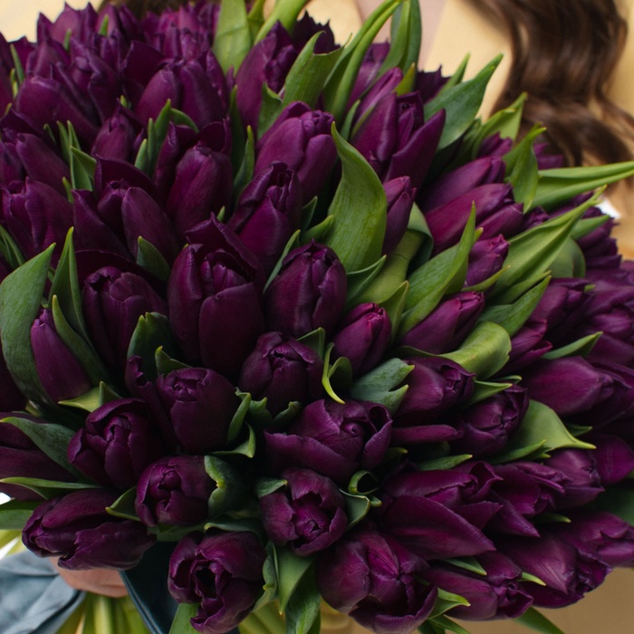 Букет 101 фіолетовий тюльпан