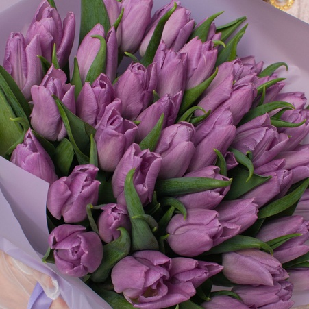 Букет 51 нежно-фиолетовый тюльпан