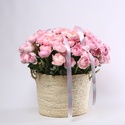 Квіти у кошику "101 рожевий ранункулюс"