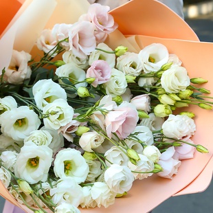 Букет нежных эустом XXL