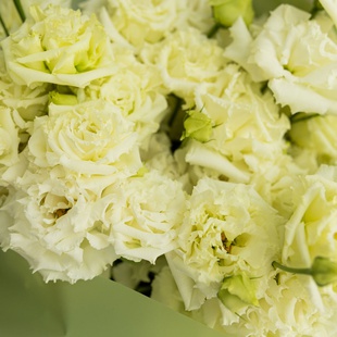 Букет 11 білих еустом