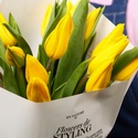 Букет 15 жовтих тюльпанів